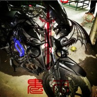 碳纖維汽車配件、摩托車配件、航空及運動用品